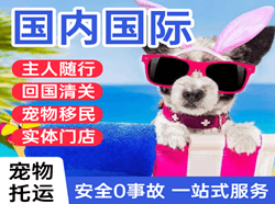 惠州空运地址国际宠物托运 【国